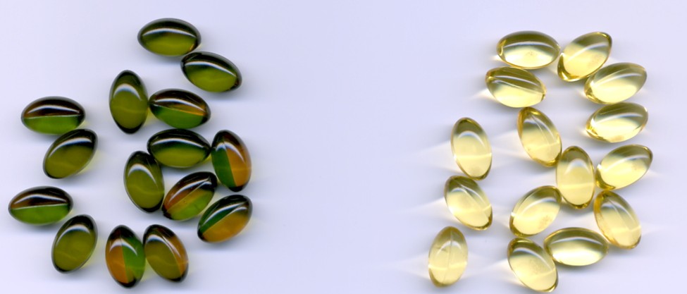 Global B2B directory Global trade lead